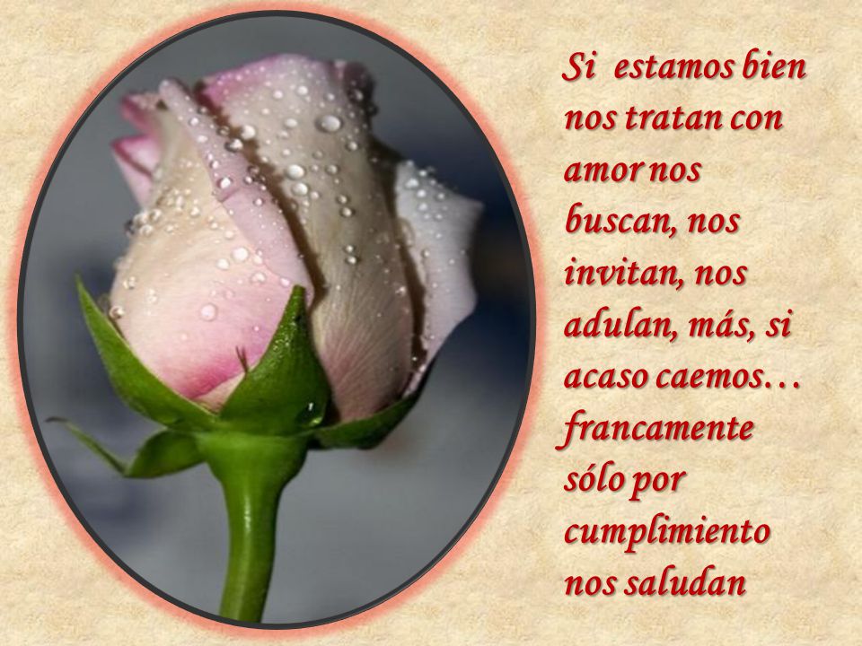 Si estamos bien nos tratan con amor nos buscan, nos invitan, nos adulan, más, si acaso caemos… francamente sólo por cumplimiento nos saludan