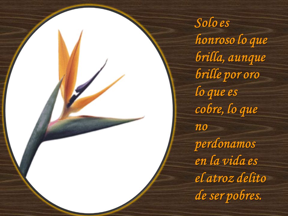 Solo es honroso lo que brilla, aunque brille por oro lo que es cobre, lo que no perdonamos en la vida es el atroz delito de ser pobres.