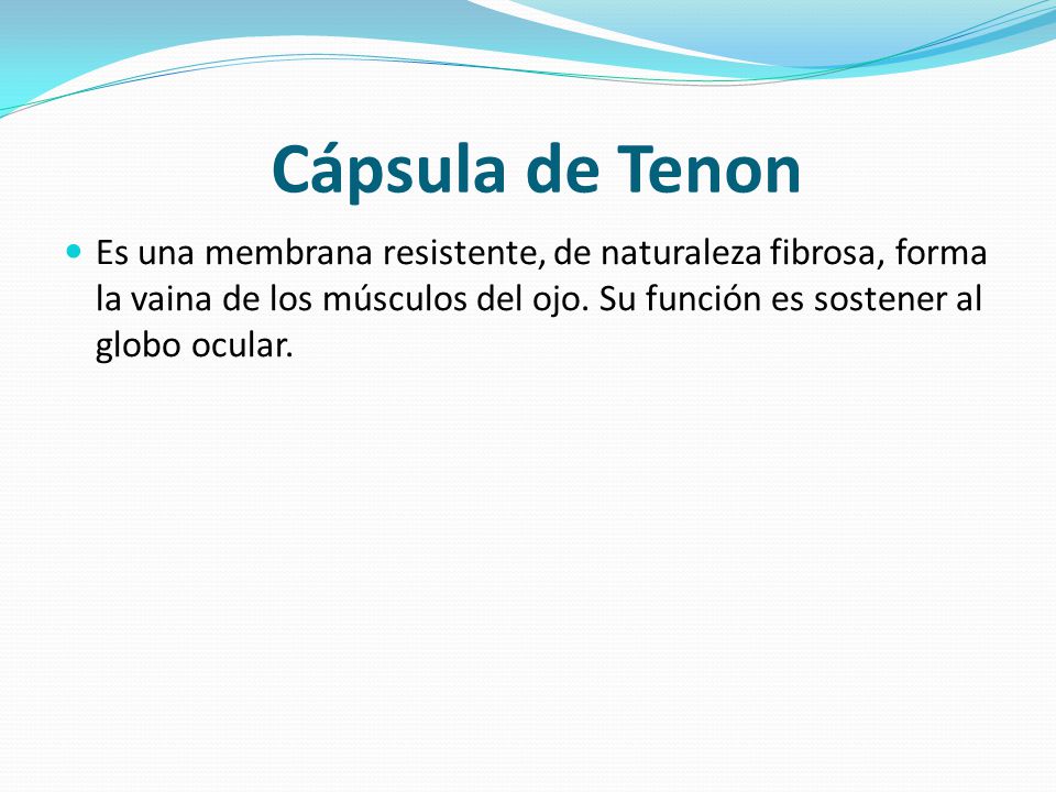 Cápsula de Tenon Es una membrana resistente, de naturaleza fibrosa, forma la vaina de los músculos del ojo.