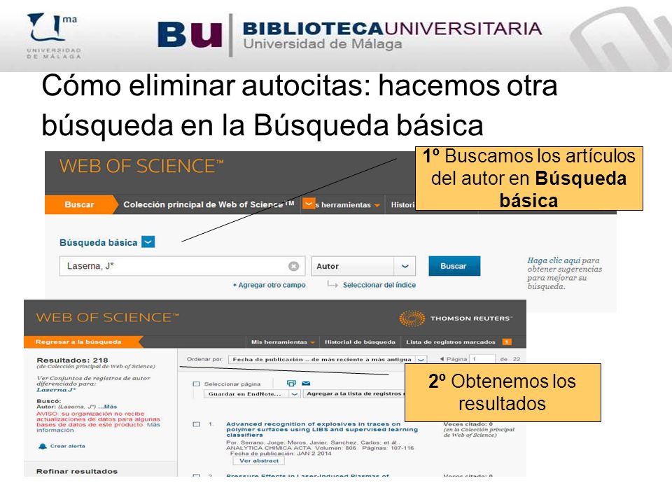 Cómo eliminar autocitas: hacemos otra búsqueda en la Búsqueda básica