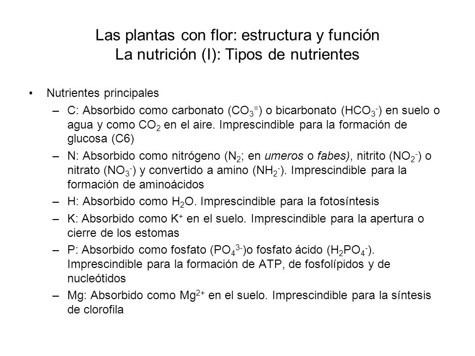 Las plantas con flor: estructura y función La nutrición (I): Tipos de nutrientes