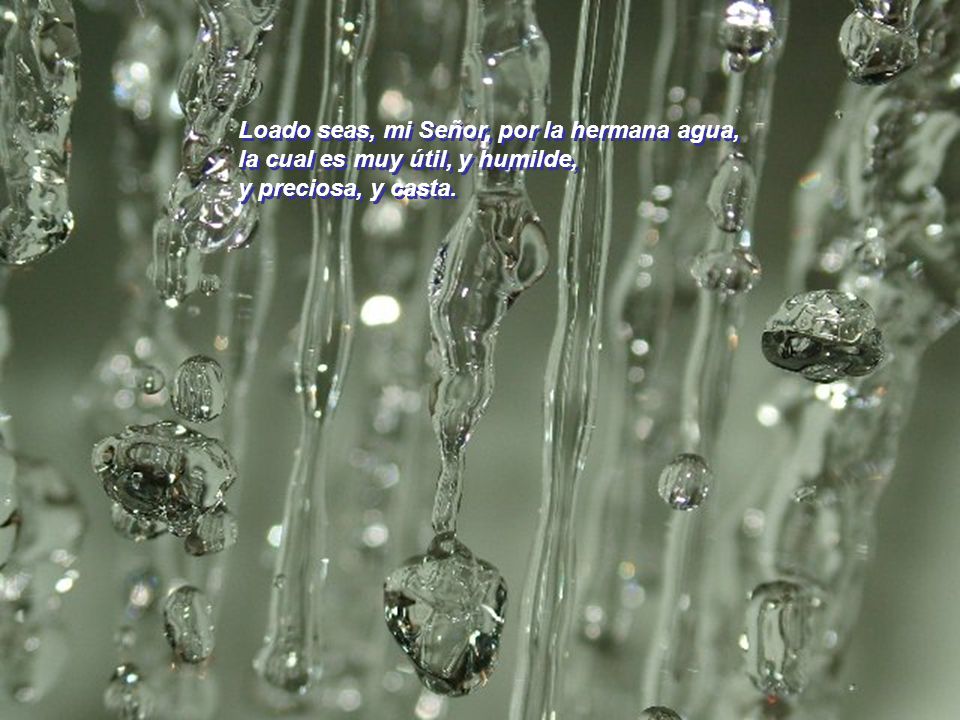 Loado seas, mi Señor, por la hermana agua,