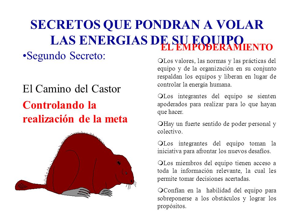 SECRETOS QUE PONDRAN A VOLAR LAS ENERGIAS DE SU EQUIPO