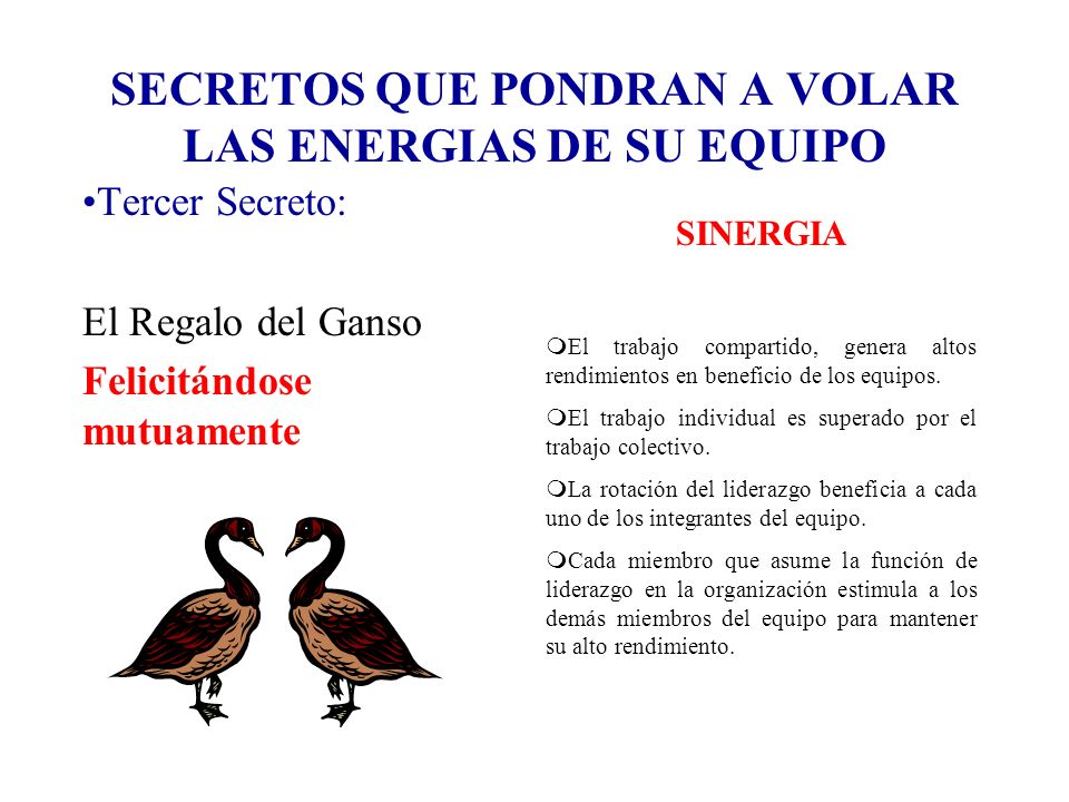 SECRETOS QUE PONDRAN A VOLAR LAS ENERGIAS DE SU EQUIPO