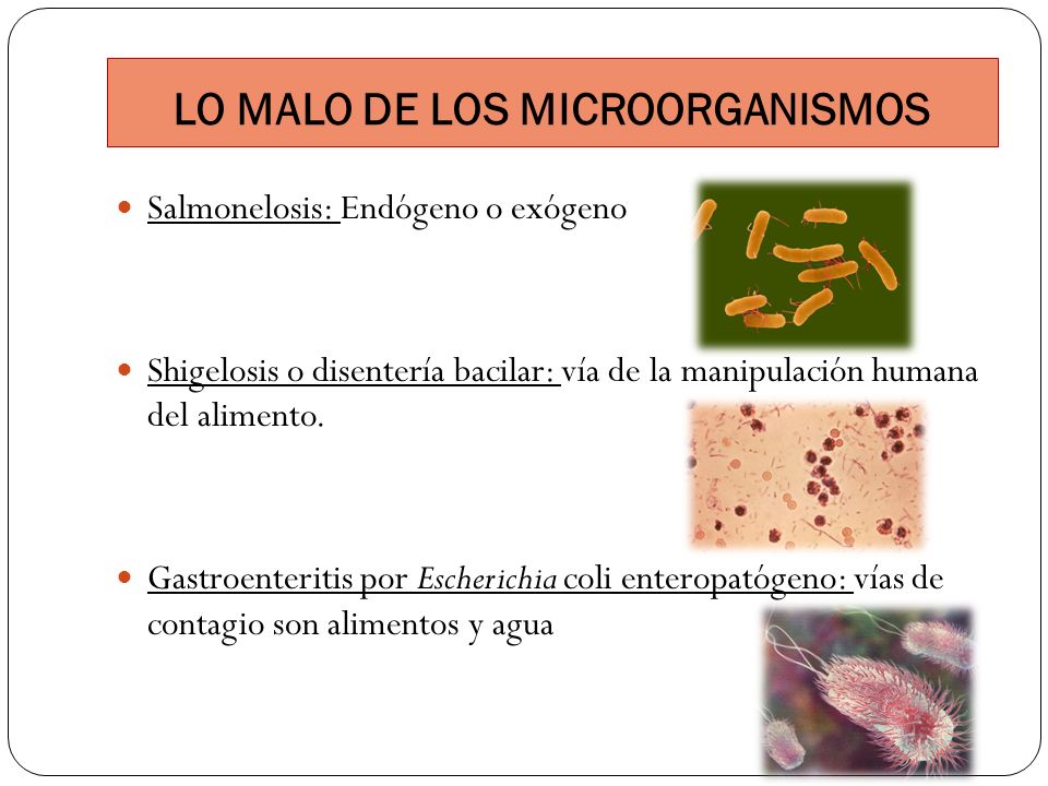LO MALO DE LOS MICROORGANISMOS