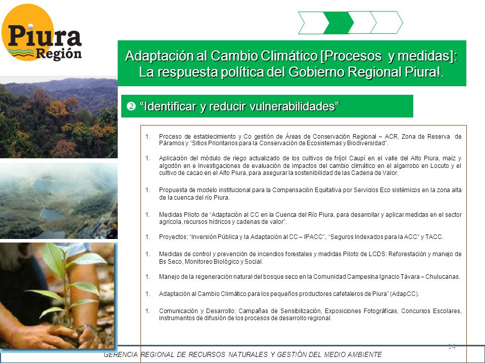 GERENCIA REGIONAL DE RECURSOS NATURALES Y GESTIÓN DEL MEDIO AMBIENTE