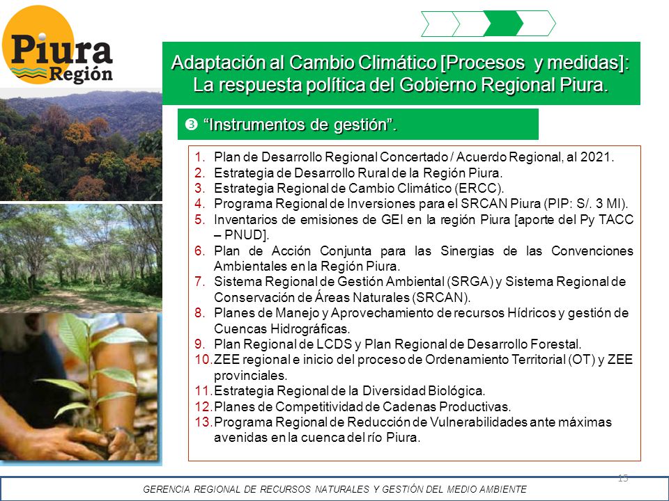 GERENCIA REGIONAL DE RECURSOS NATURALES Y GESTIÓN DEL MEDIO AMBIENTE