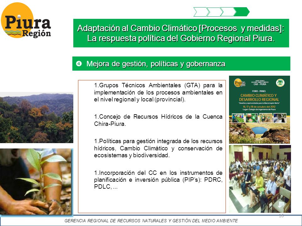 GERENCIA REGIONAL DE RECURSOS NATURALES Y GESTIÓN DEL MEDIO AMBIENTE