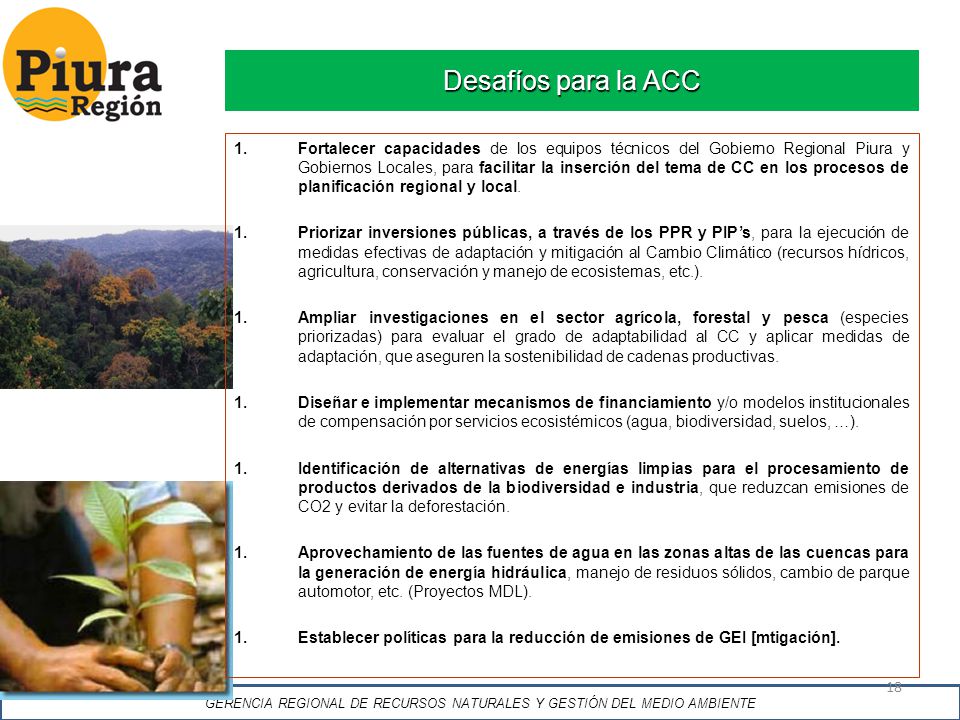 GERENCIA REGIONAL DE RECURSOS NATURALES Y GESTIÓN DEL MEDIO AMBIENTE