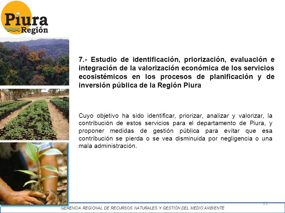 GERENCIA REGIONAL DE RECURSOS NATURALES Y GESTIÓN DEL MEDIO AMBIENTE