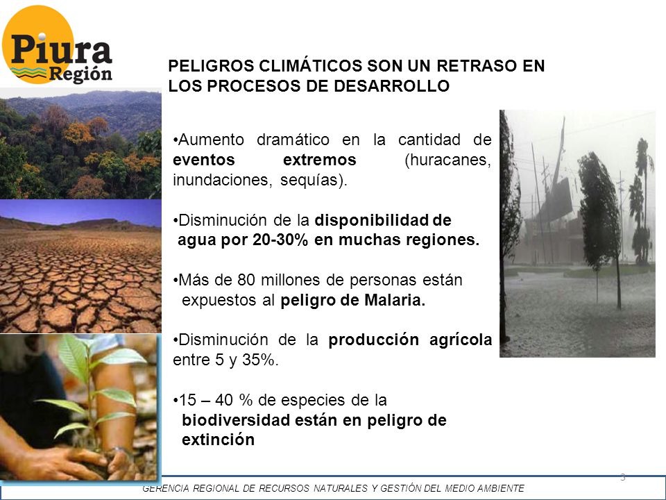 GERENCIA REGIONAL DE RECURSOS NATURALES Y GESTIÓN DEL MEDIO AMBIENTE