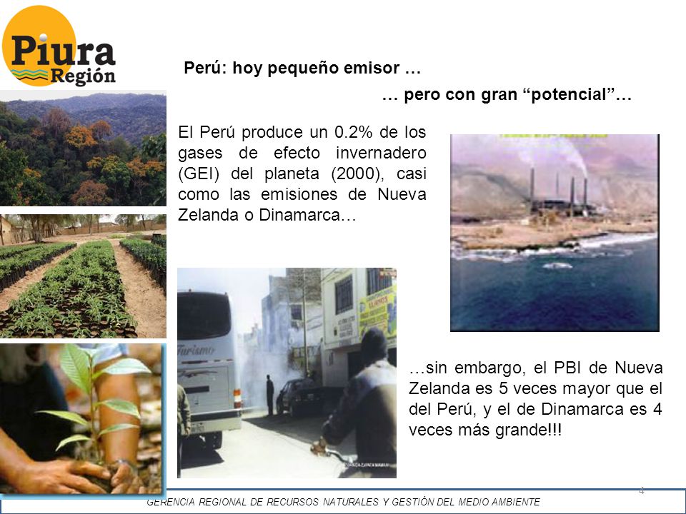 GERENCIA REGIONAL DE RECURSOS NATURALES Y GESTIÓN DEL MEDIO AMBIENTE