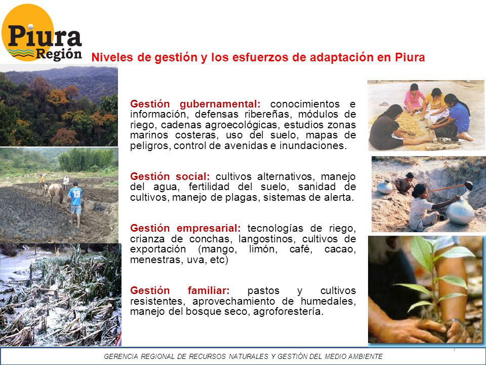 Niveles de gestión y los esfuerzos de adaptación en Piura