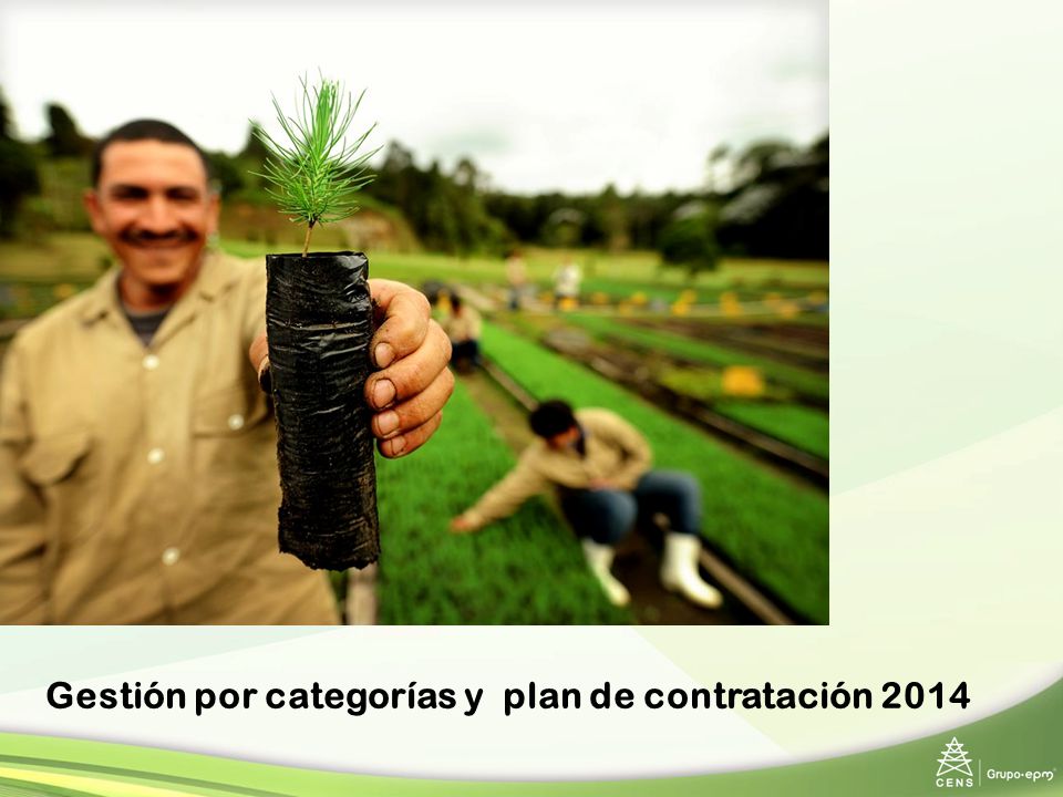 Gestión por categorías y plan de contratación 2014