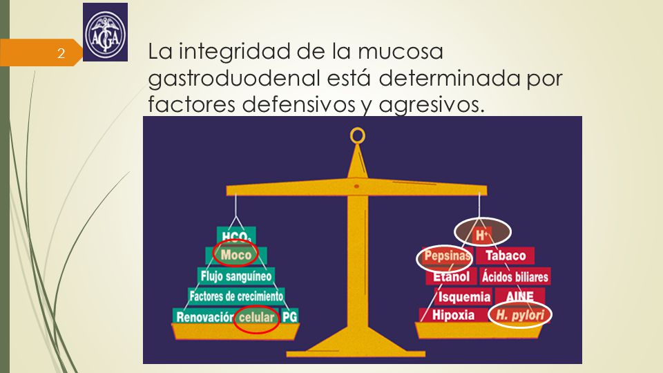 La integridad de la mucosa gastroduodenal está determinada por factores defensivos y agresivos.