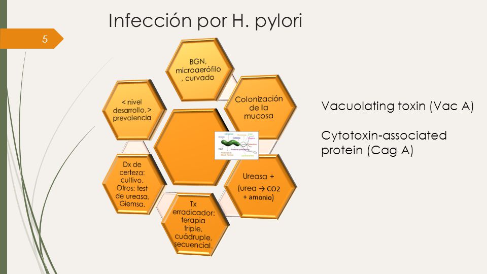 Infección por H. pylori Vacuolating toxin (Vac A)