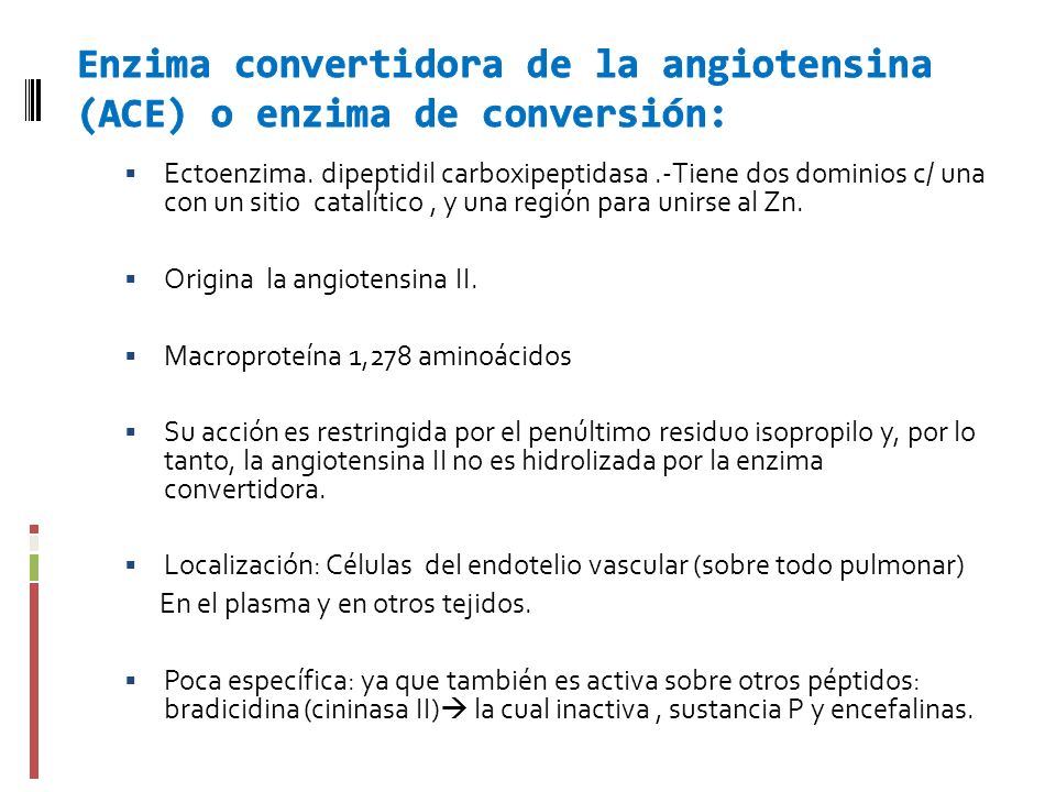 Enzima convertidora de la angiotensina (ACE) o enzima de conversión: