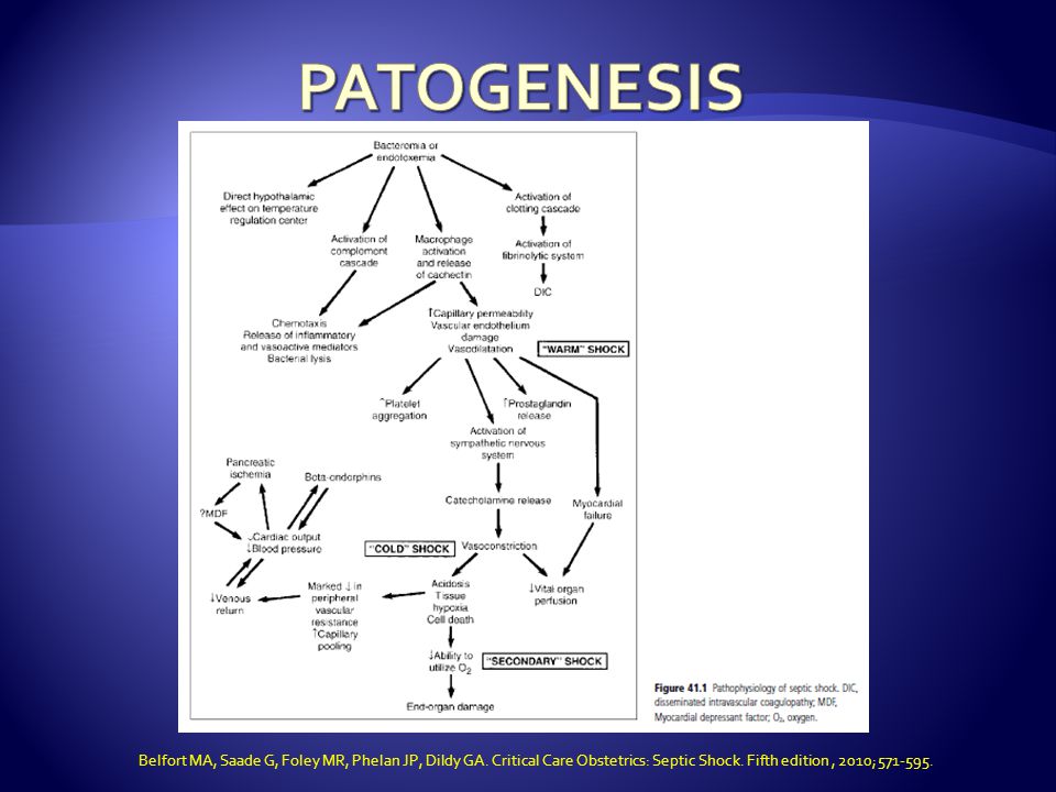 PATOGENESIS Belfort MA, Saade G, Foley MR, Phelan JP, Dildy GA.