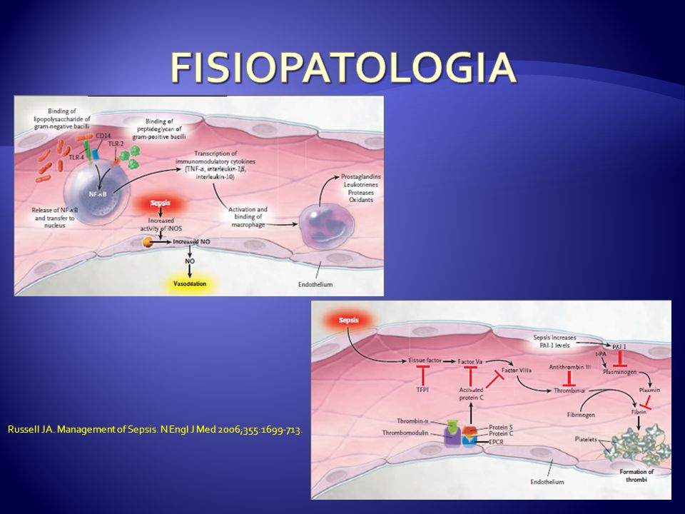 Russell JA. Management of Sepsis. N Engl J Med 2006;355: