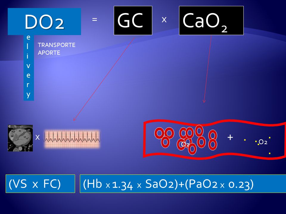 GC CaO2 DO (VS x FC) (Hb x 1.34 x SaO2)+(PaO2 x 0.23) = x