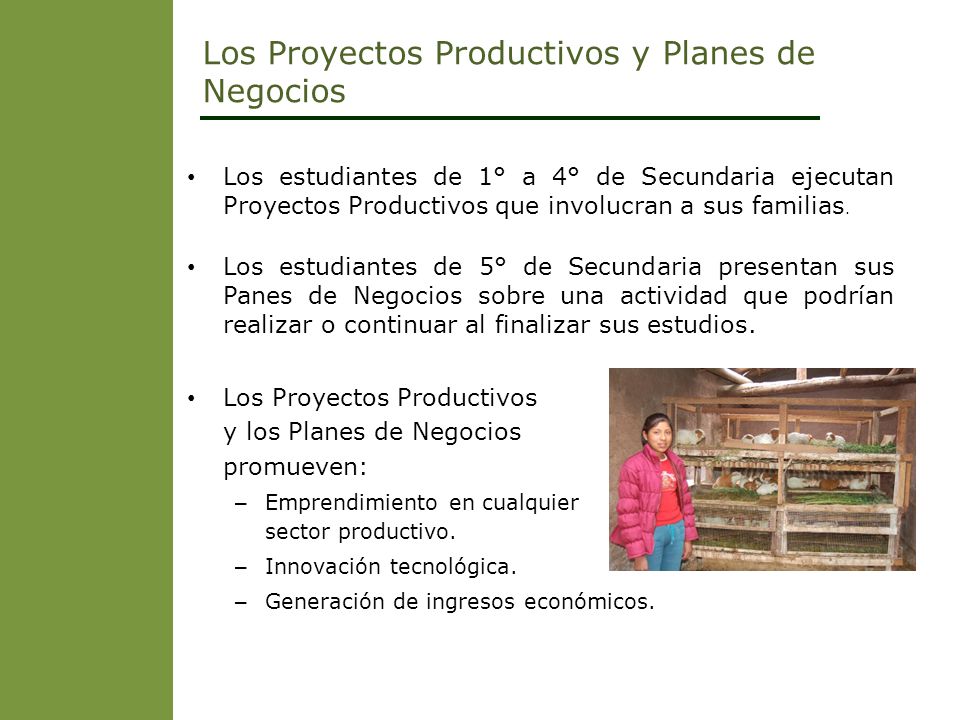 Los Proyectos Productivos y Planes de Negocios
