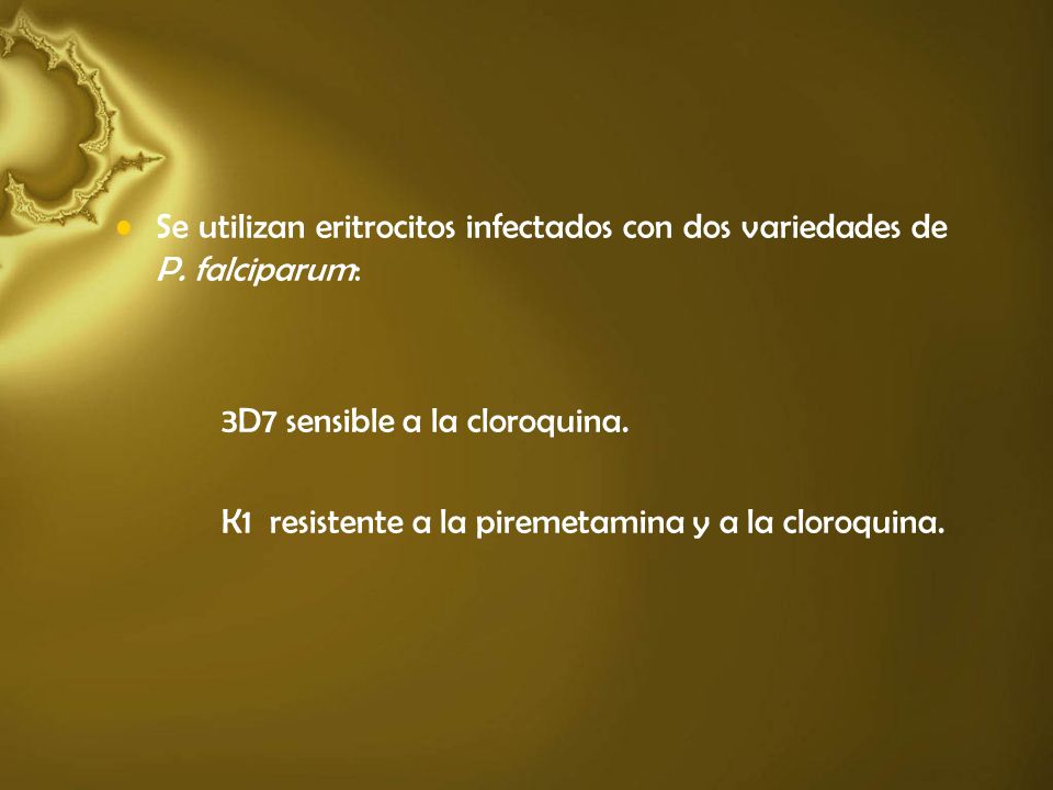Se utilizan eritrocitos infectados con dos variedades de P. falciparum: