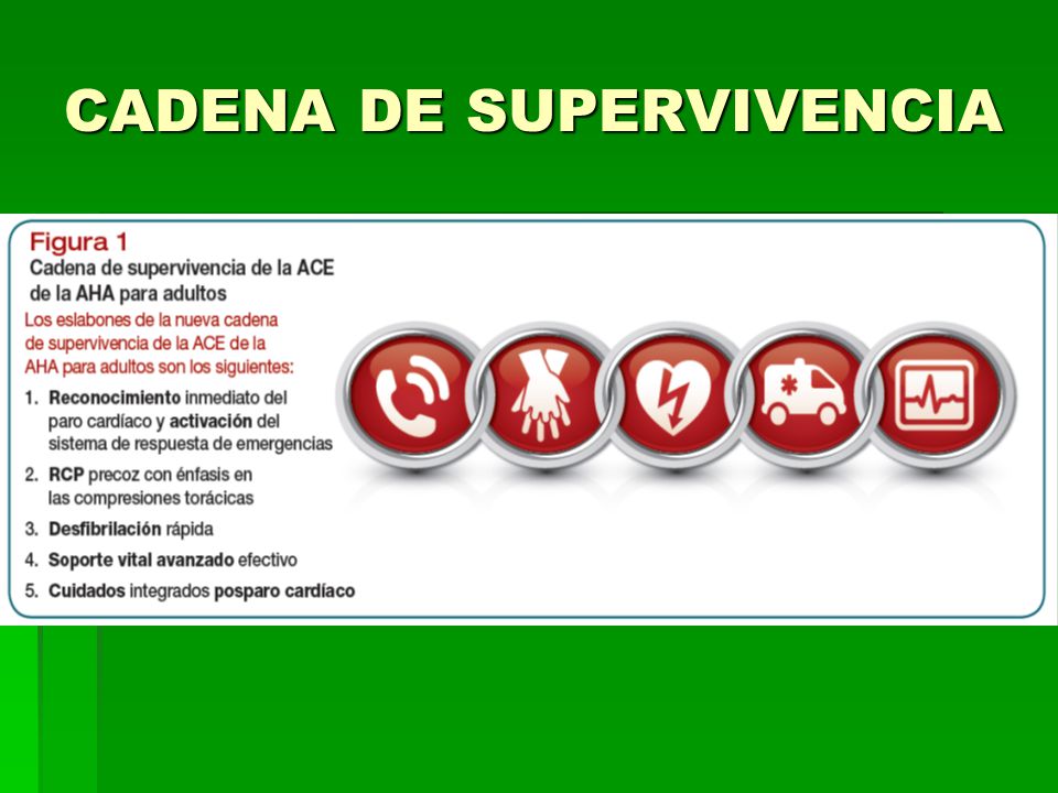 CADENA DE SUPERVIVENCIA