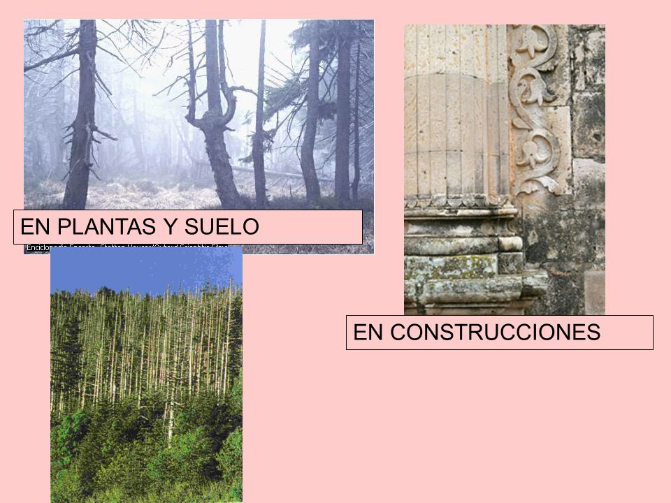 EN PLANTAS Y SUELO EN CONSTRUCCIONES