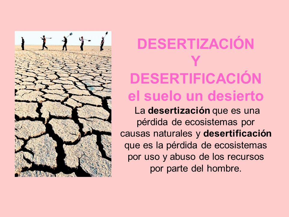 DESERTIZACIÓN Y DESERTIFICACIÓN el suelo un desierto La desertización que es una pérdida de ecosistemas por causas naturales y desertificación que es la pérdida de ecosistemas por uso y abuso de los recursos por parte del hombre.