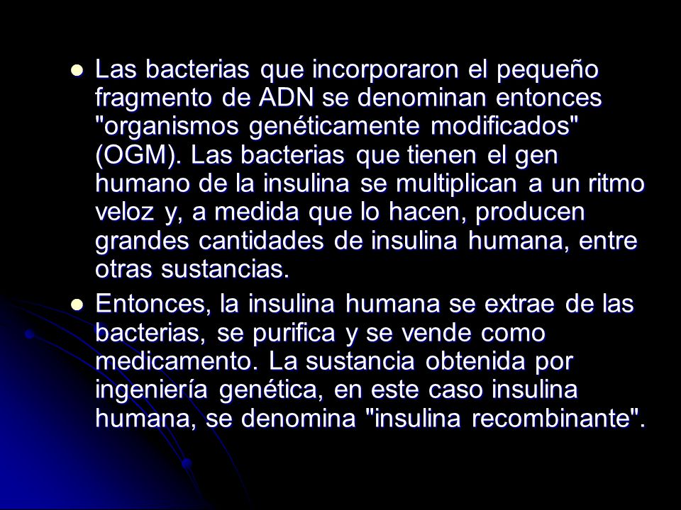 Las bacterias que incorporaron el pequeño fragmento de ADN se denominan entonces organismos genéticamente modificados (OGM). Las bacterias que tienen el gen humano de la insulina se multiplican a un ritmo veloz y, a medida que lo hacen, producen grandes cantidades de insulina humana, entre otras sustancias.