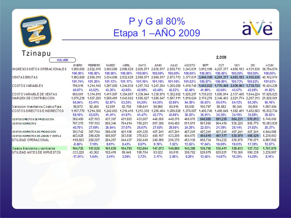 P y G al 80% Etapa 1 –AÑO 2009