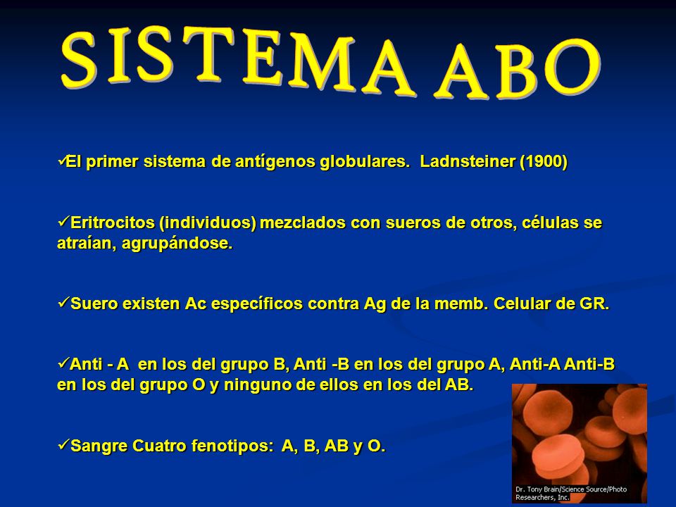 SISTEMA ABO El primer sistema de antígenos globulares. Ladnsteiner (1900)