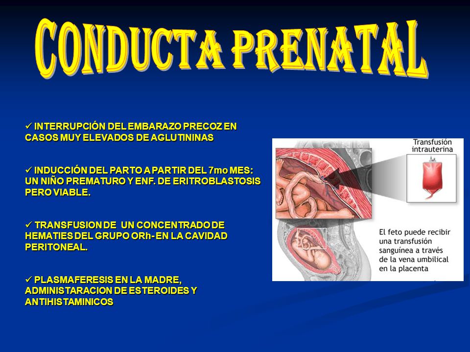 conducta prenatal INTERRUPCIÓN DEL EMBARAZO PRECOZ EN CASOS MUY ELEVADOS DE AGLUTININAS.