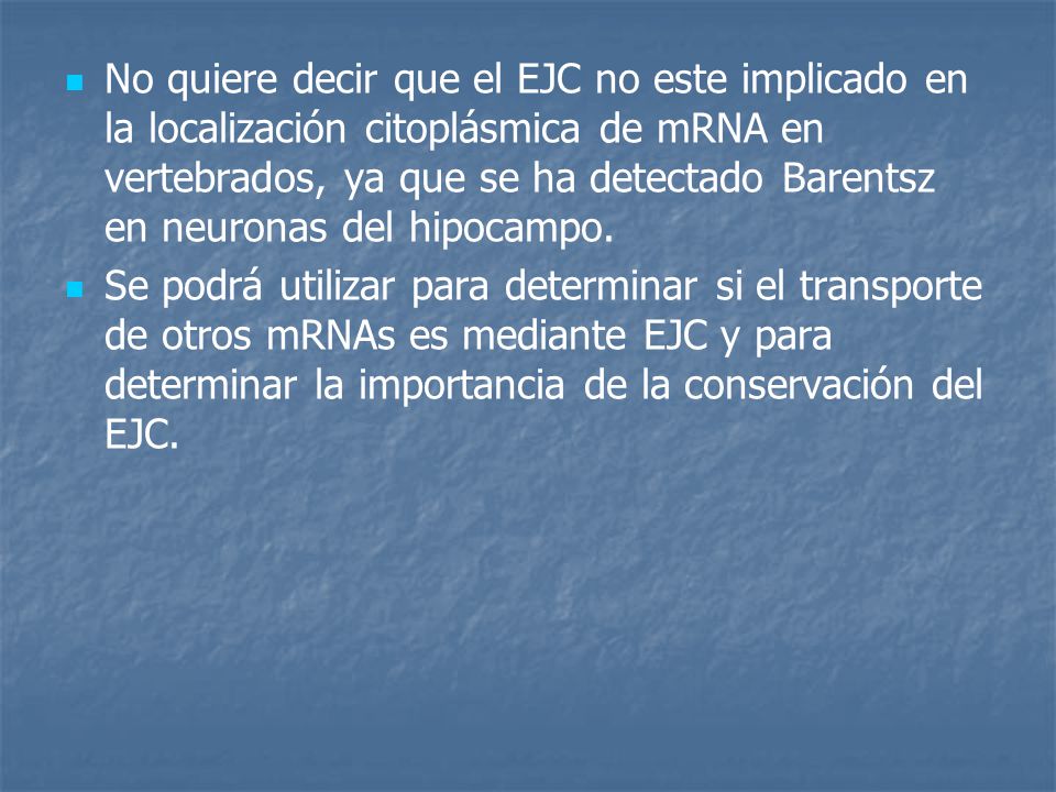 No quiere decir que el EJC no este implicado en la localización citoplásmica de mRNA en vertebrados, ya que se ha detectado Barentsz en neuronas del hipocampo.