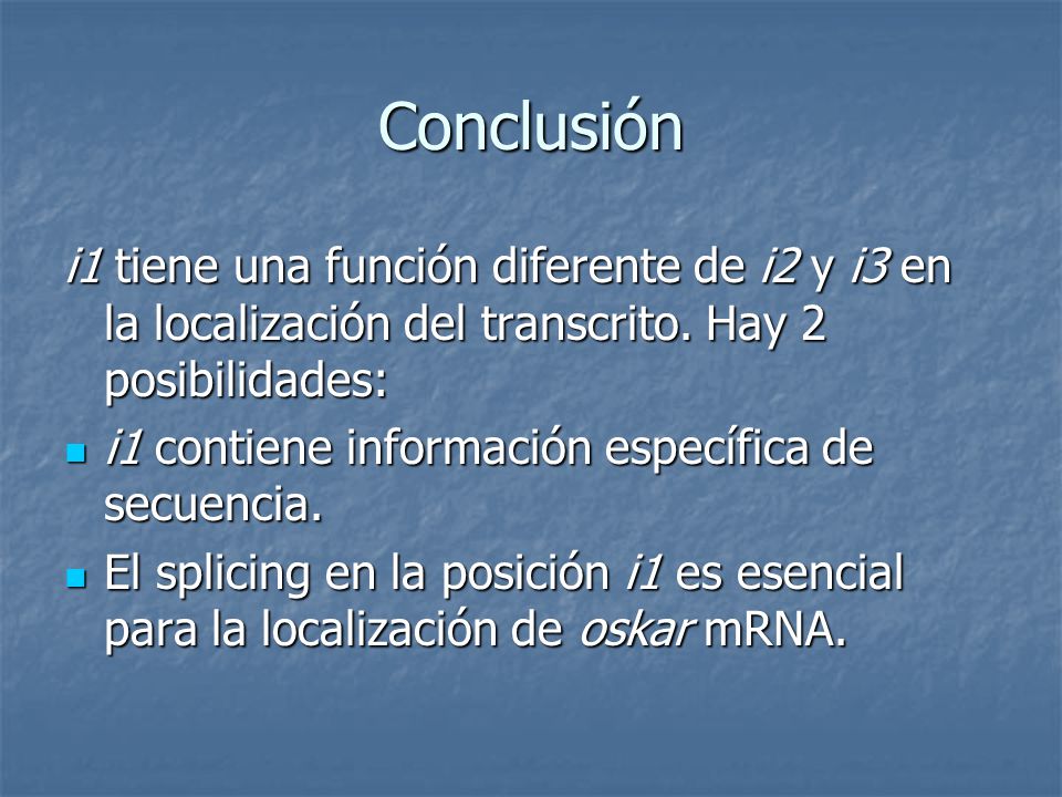 Conclusión i1 tiene una función diferente de i2 y i3 en la localización del transcrito. Hay 2 posibilidades: