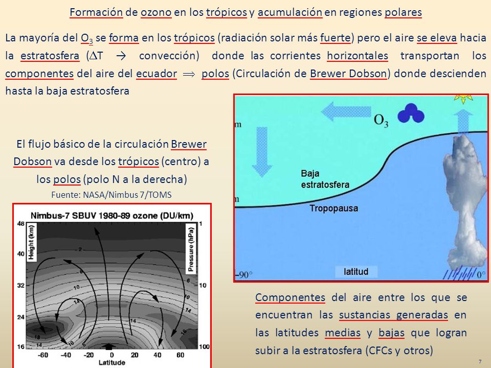 Formación de ozono en los trópicos y acumulación en regiones polares