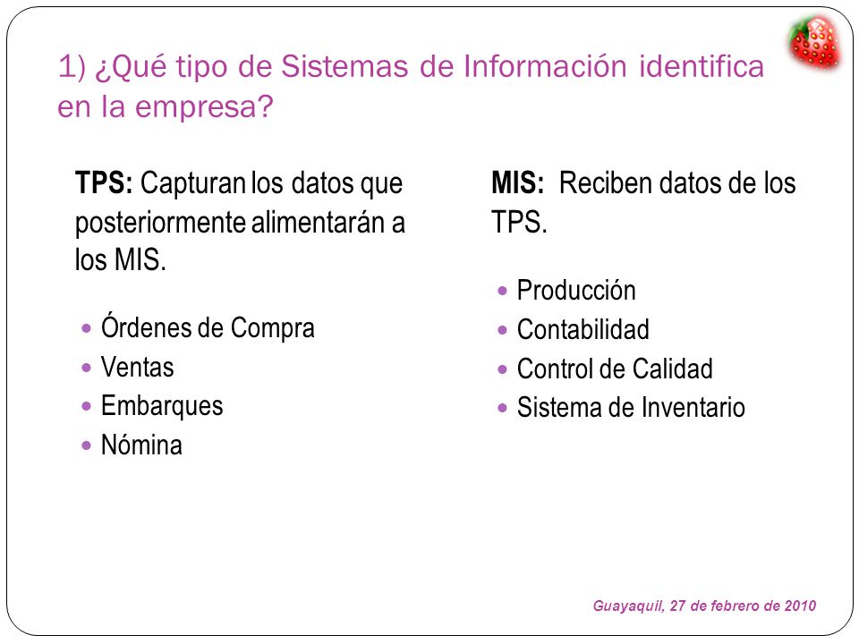 1) ¿Qué tipo de Sistemas de Información identifica en la empresa