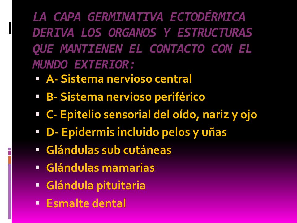 LA CAPA GERMINATIVA ECTODÉRMICA DERIVA LOS ORGANOS Y ESTRUCTURAS QUE MANTIENEN EL CONTACTO CON EL MUNDO EXTERIOR: