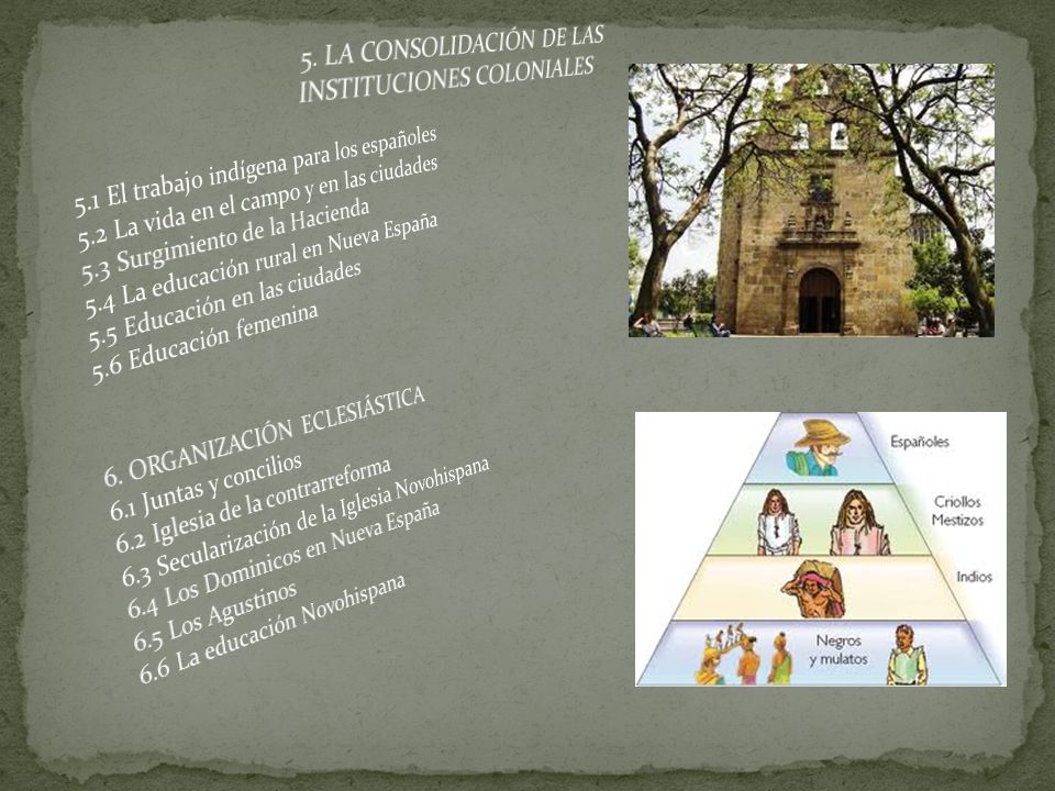 5. LA CONSOLIDACIÓN DE LAS INSTITUCIONES COLONIALES