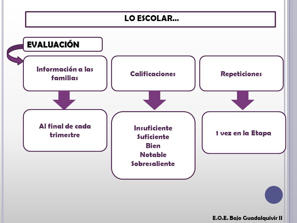 Información a las familias Al final de cada trimestre