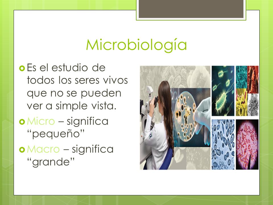 Microbiología Es el estudio de todos los seres vivos que no se pueden ver a simple vista. Micro – significa pequeño
