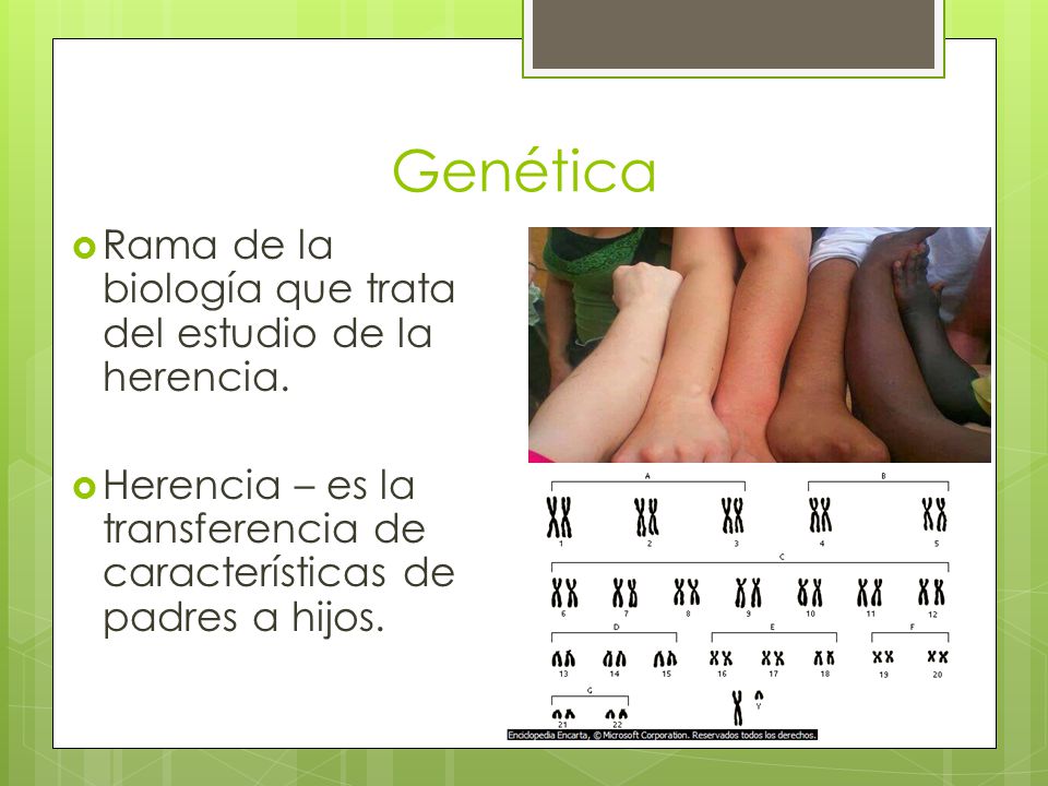 Genética Rama de la biología que trata del estudio de la herencia.