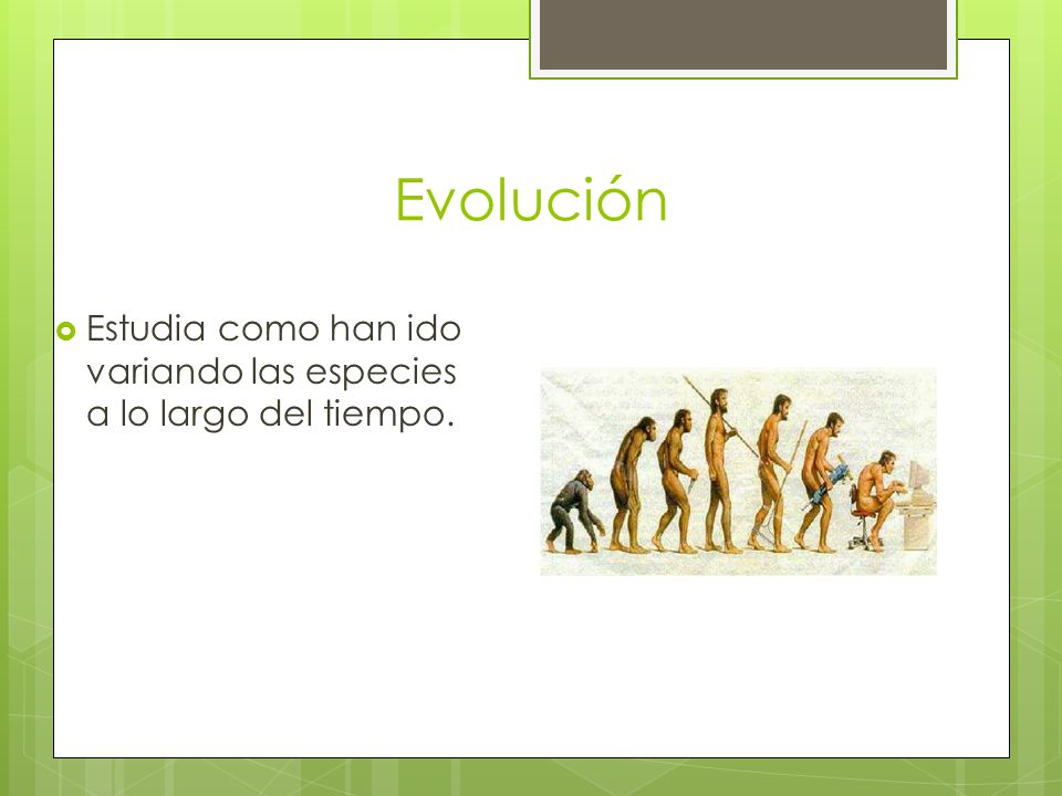 Evolución Estudia como han ido variando las especies a lo largo del tiempo.