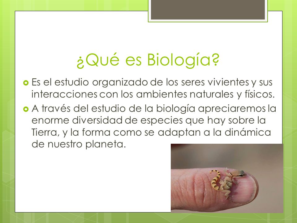 ¿Qué es Biología Es el estudio organizado de los seres vivientes y sus interacciones con los ambientes naturales y físicos.