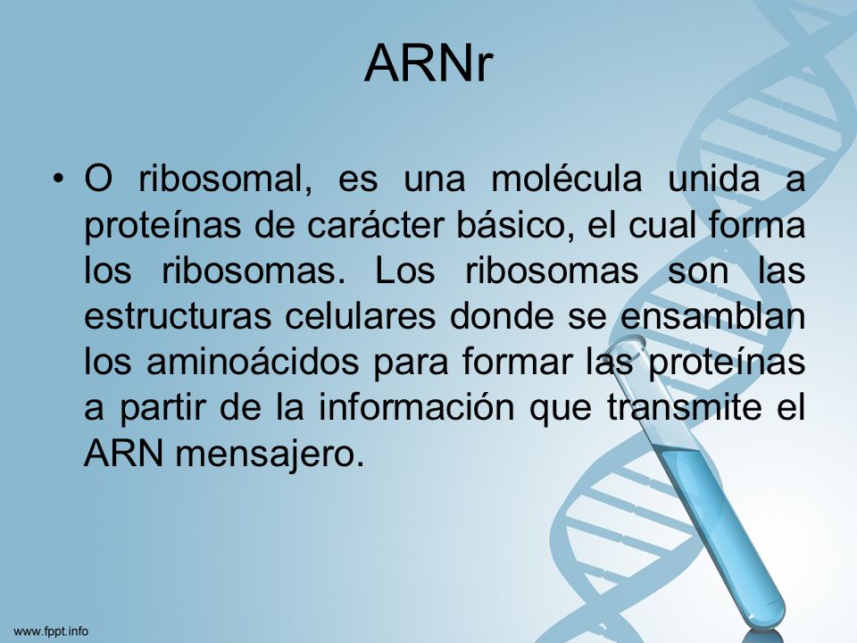 ARNr