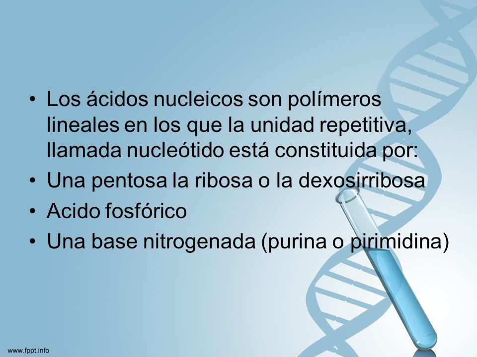 Los ácidos nucleicos son polímeros lineales en los que la unidad repetitiva, llamada nucleótido está constituida por: