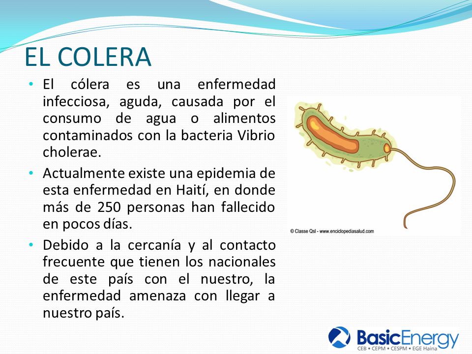 EL COLERA El cólera es una enfermedad infecciosa, aguda, causada por el