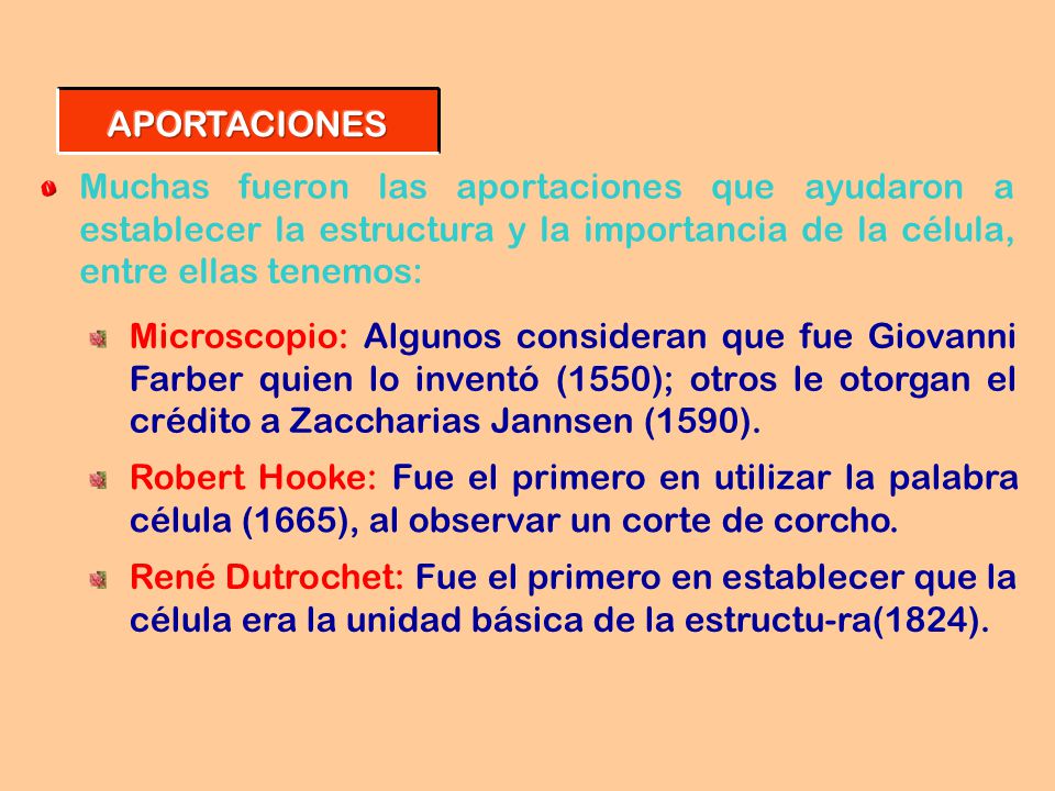 APORTACIONES Muchas fueron las aportaciones que ayudaron a establecer la estructura y la importancia de la célula, entre ellas tenemos: