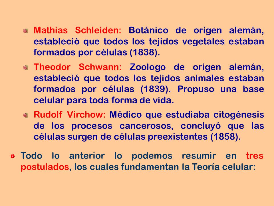 Mathias Schleiden: Botánico de origen alemán, estableció que todos los tejidos vegetales estaban formados por células (1838).
