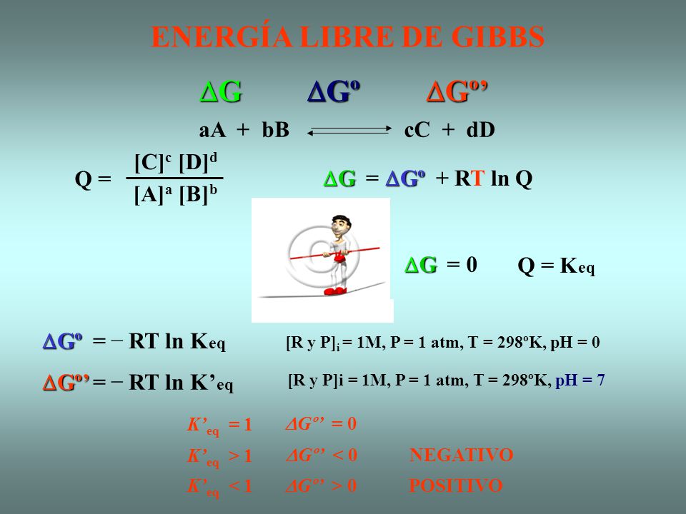 ENERGÍA LIBRE DE GIBBS DG DGº DGº’ aA + bB cC + dD [C]c [D]d Q =